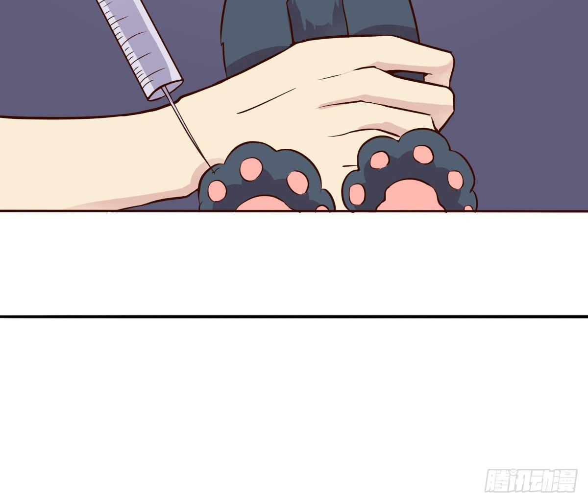 第003话31