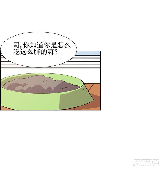 第045话21