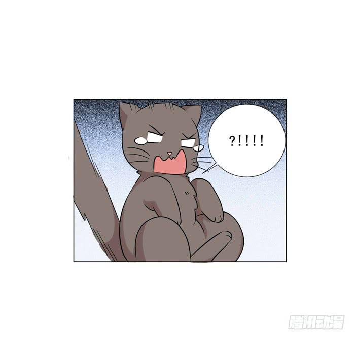 第040话59