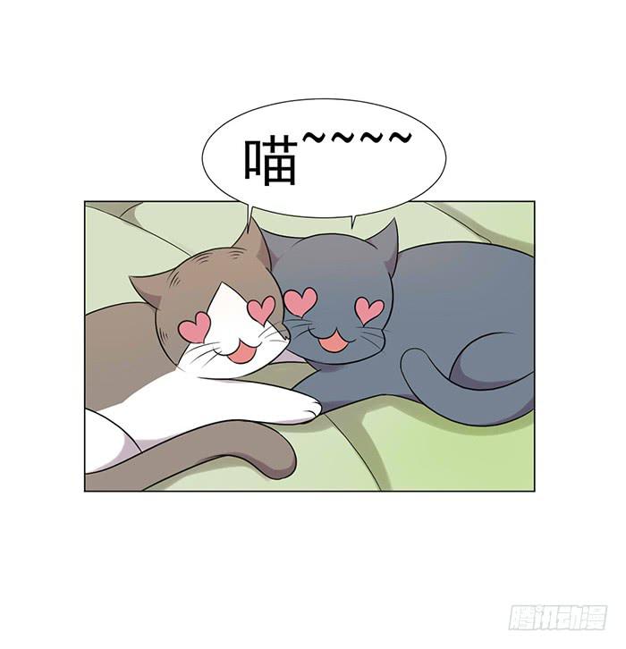 第039话17