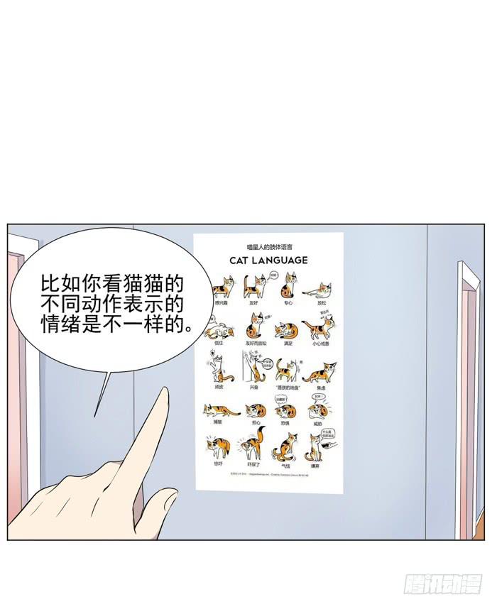 最终话28