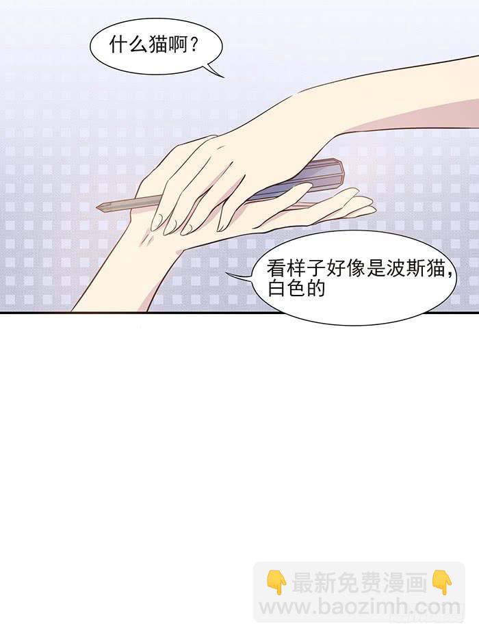 第013话7