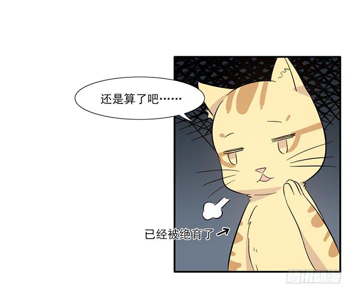 第014话14