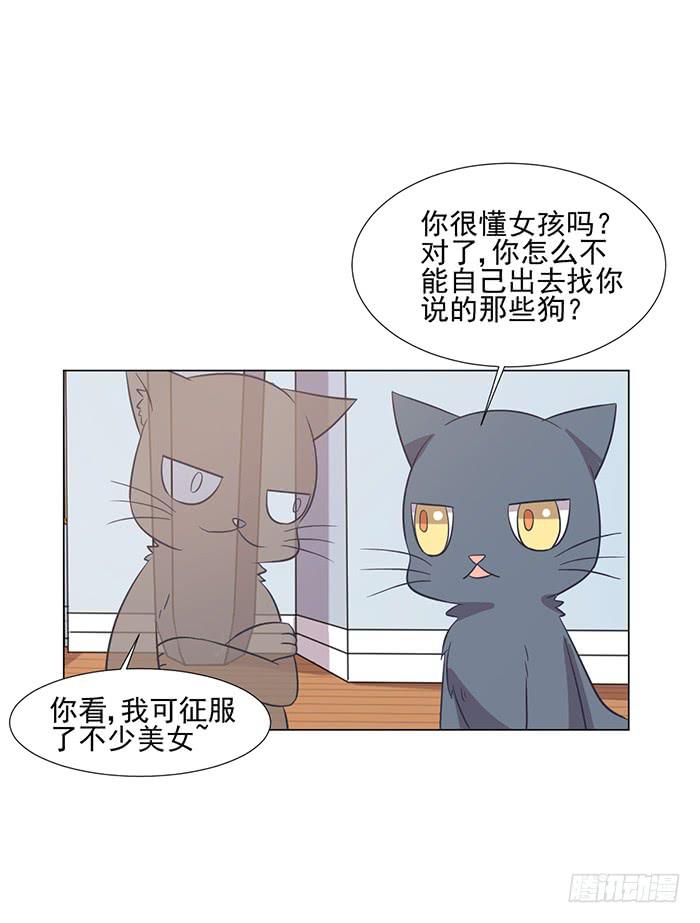 第042话15