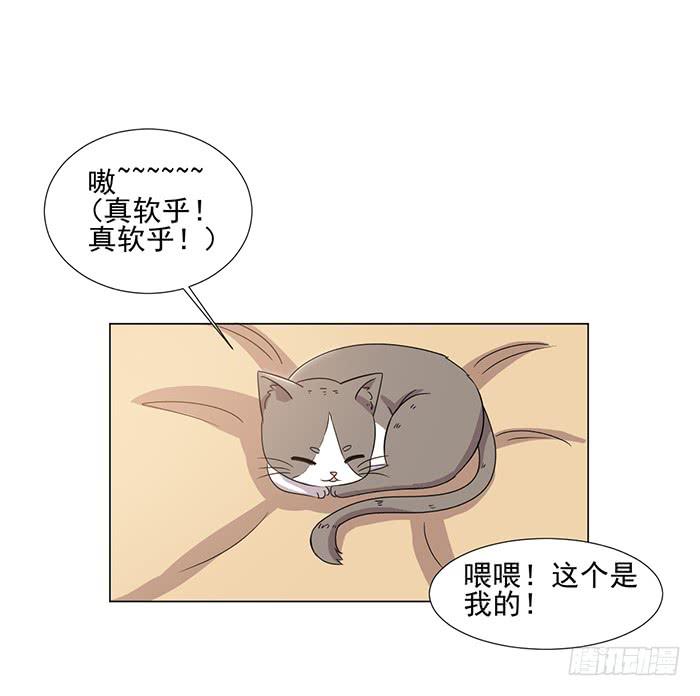 第045话31