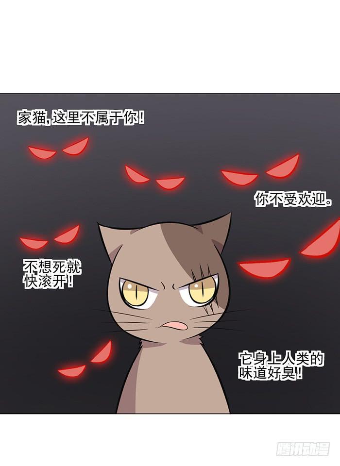 第042话30
