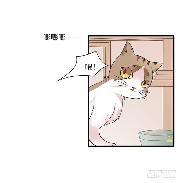 第011话2
