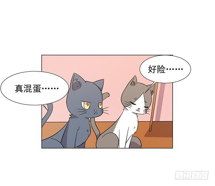 第041话37