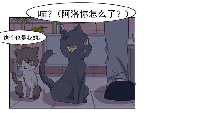 第033话34