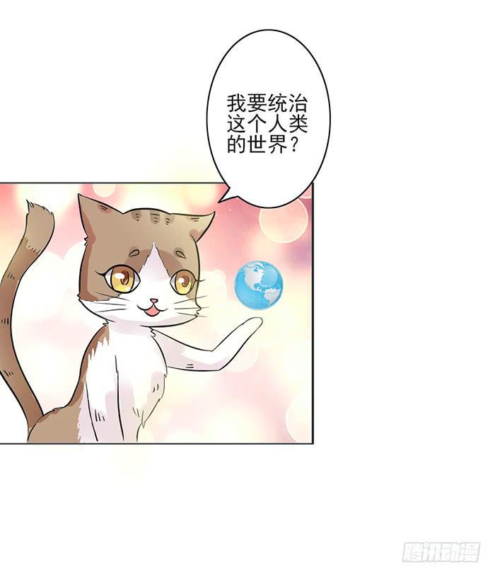 第008话5