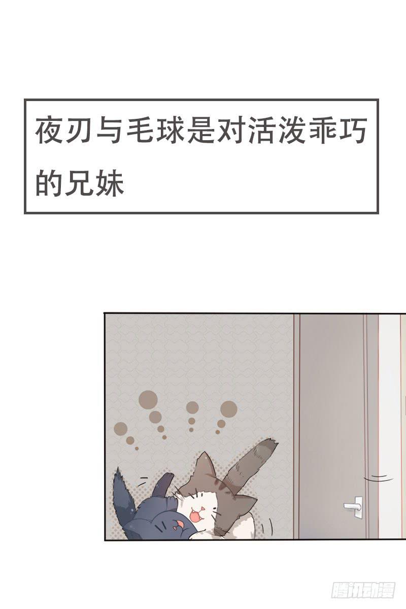 预告0