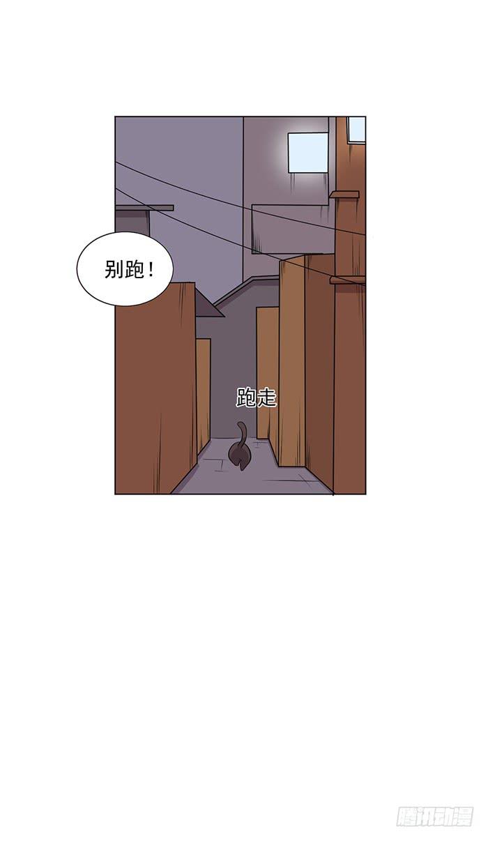 第042话29
