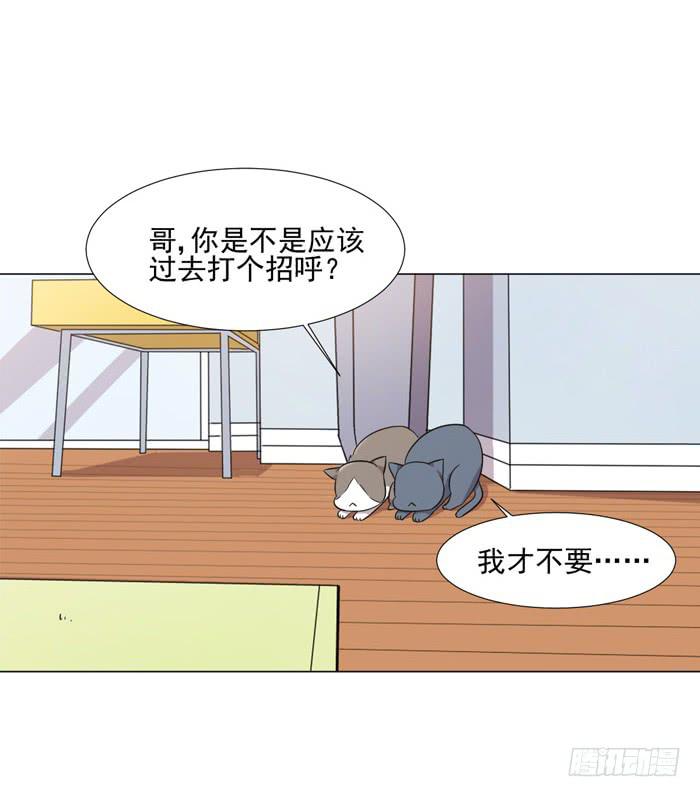第040话53
