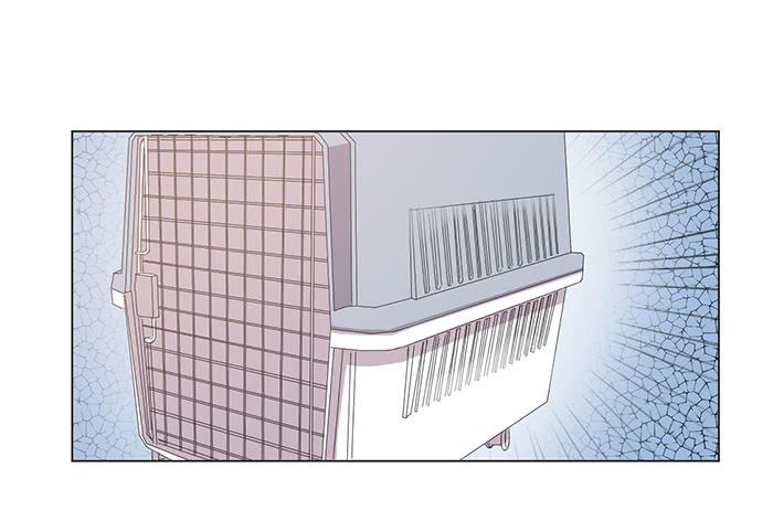 第044话39