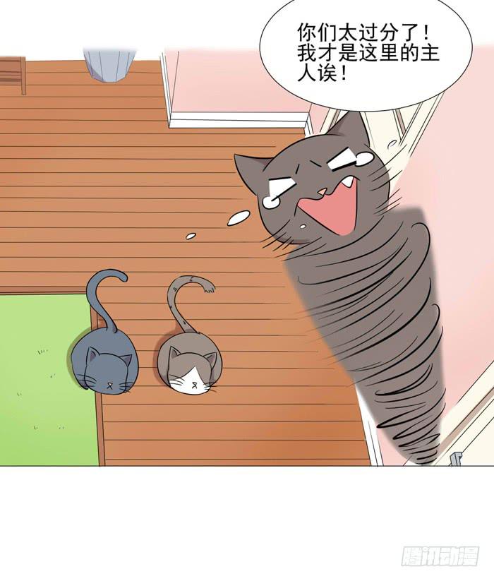 第040话62