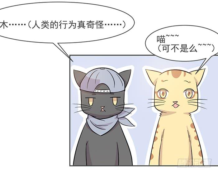 第016话22