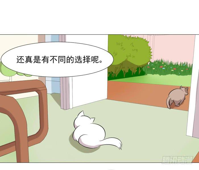 第040话33