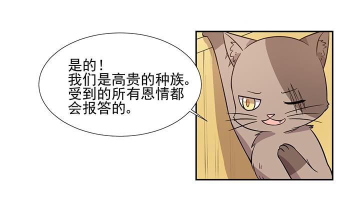 第027话12