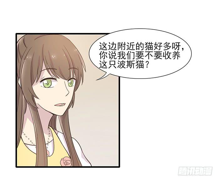 第013话13