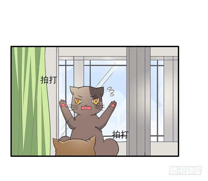 第011话3