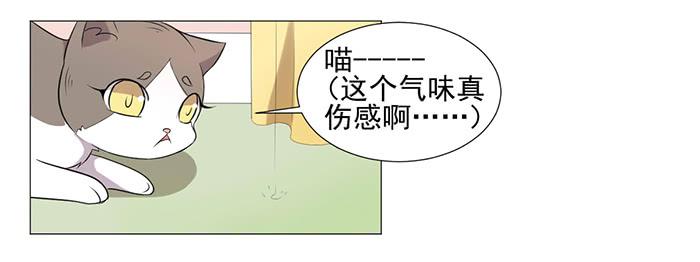 第037话62