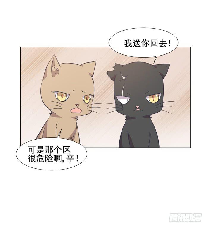 第042话58