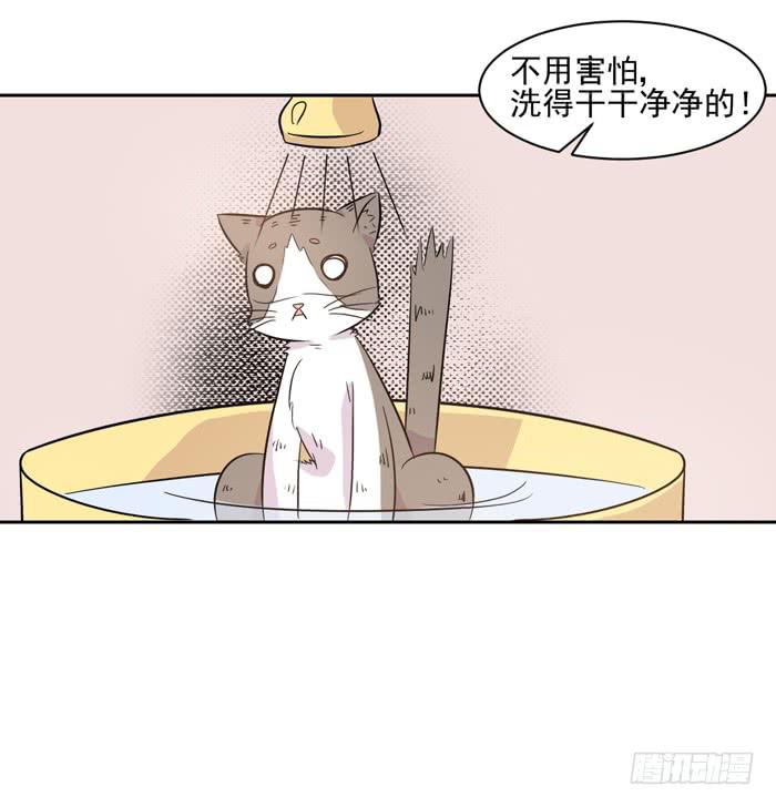 第018话12