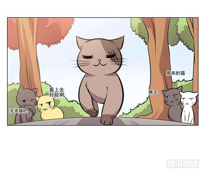 第042话18