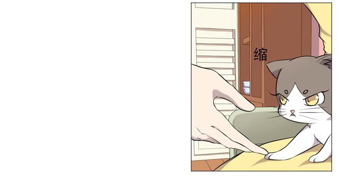 第036话4