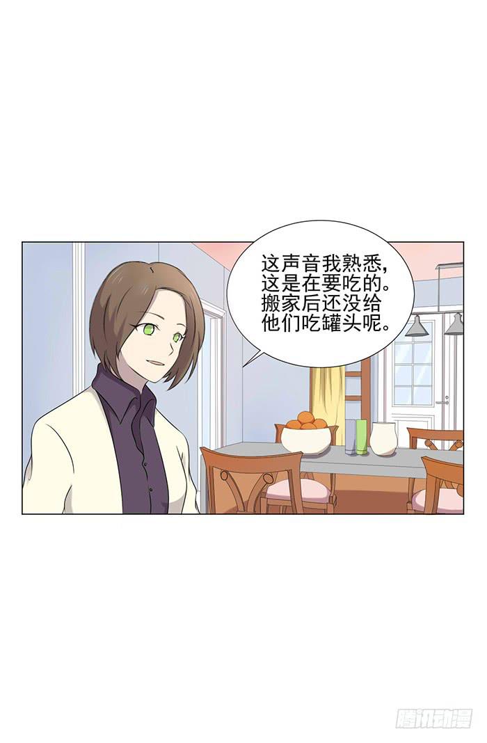 第041话49