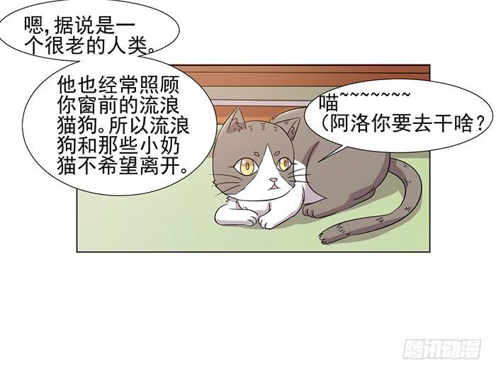 第040话12