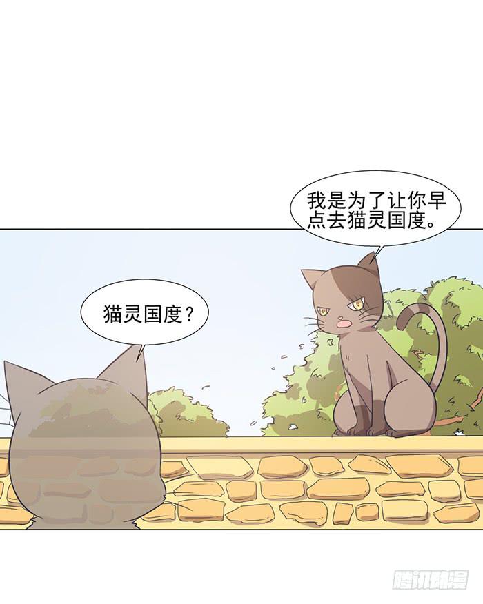 第042话5