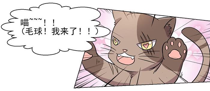 第030话7