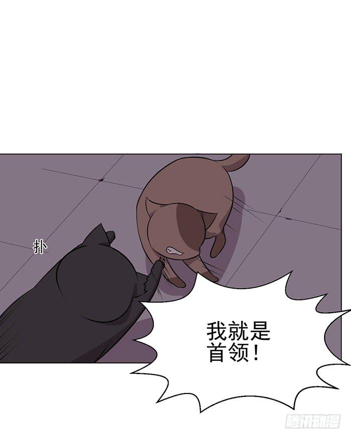 第042话39