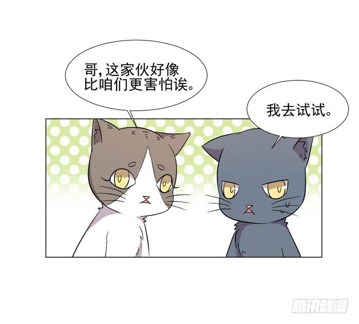 第040话60