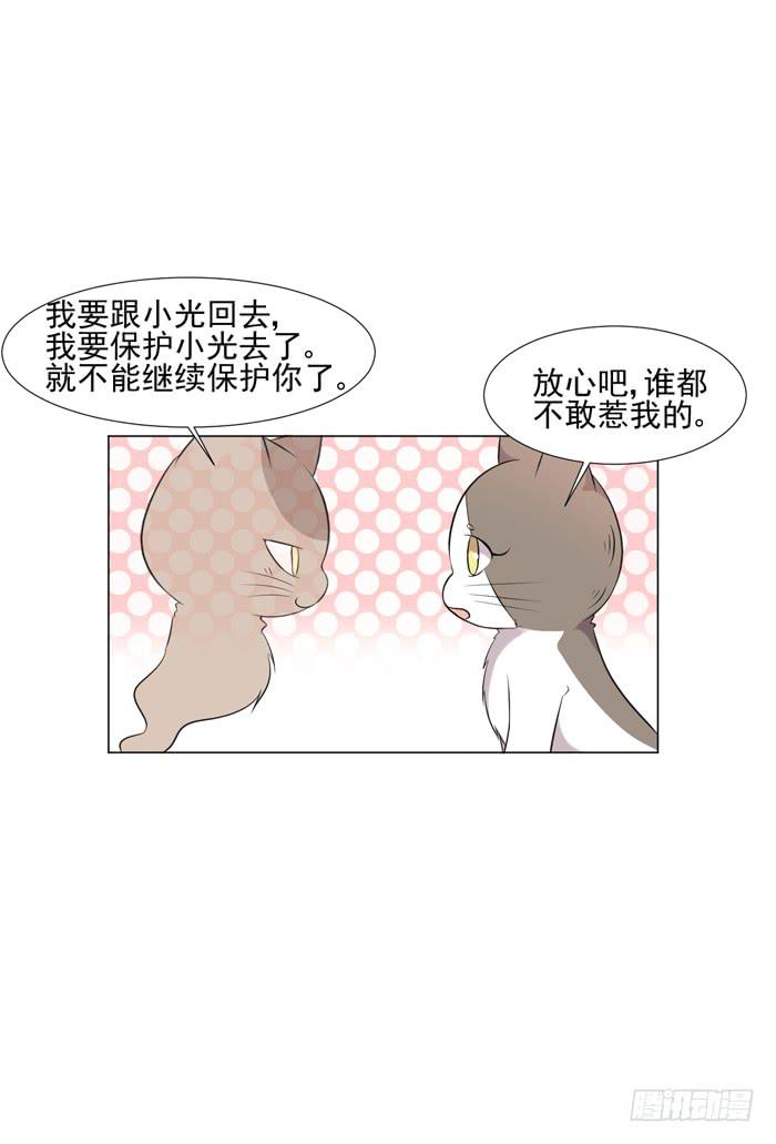 第044话48