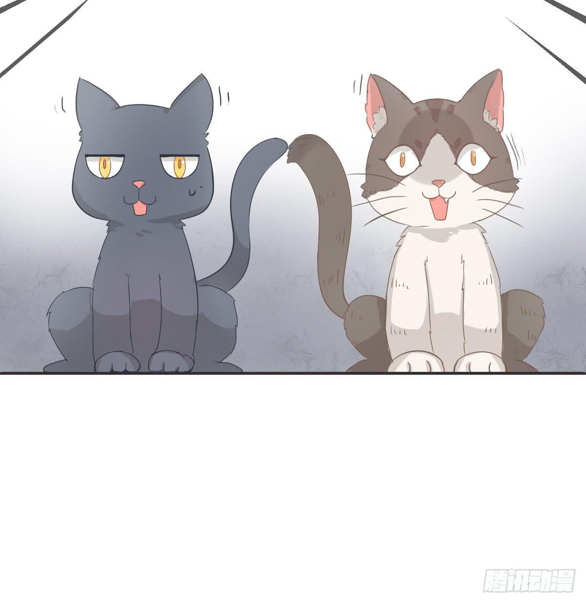 第001话27