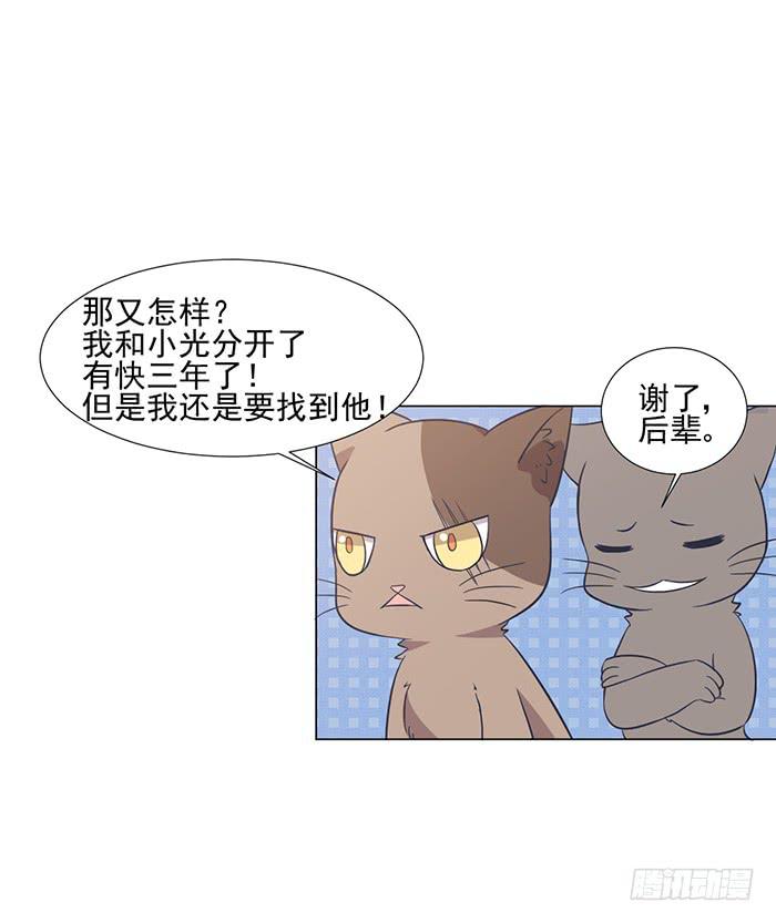 第042话4