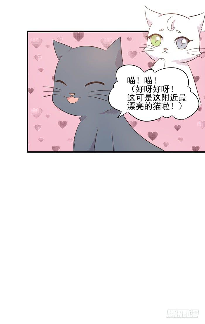 第013话14