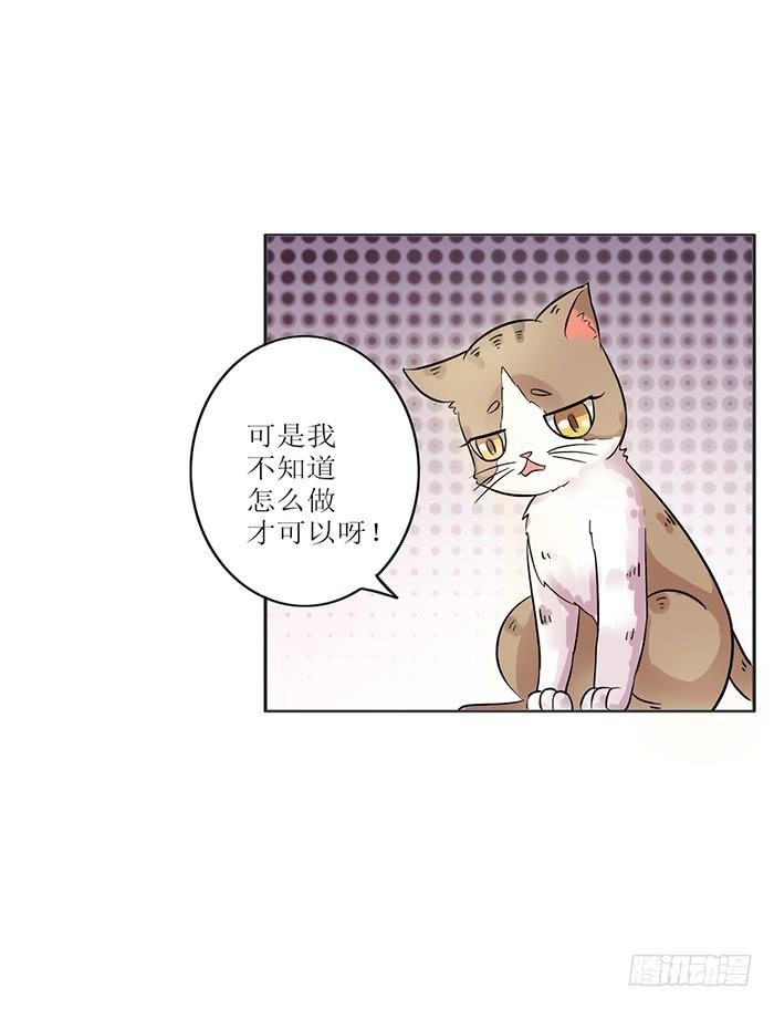 第008话15
