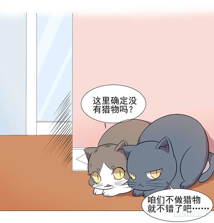 第040话41