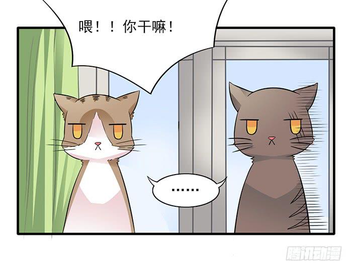 第012话1