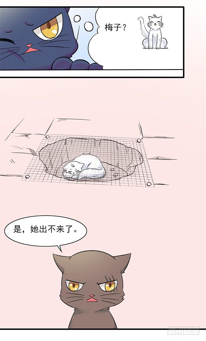 第011话9
