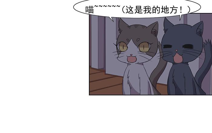 第033话38