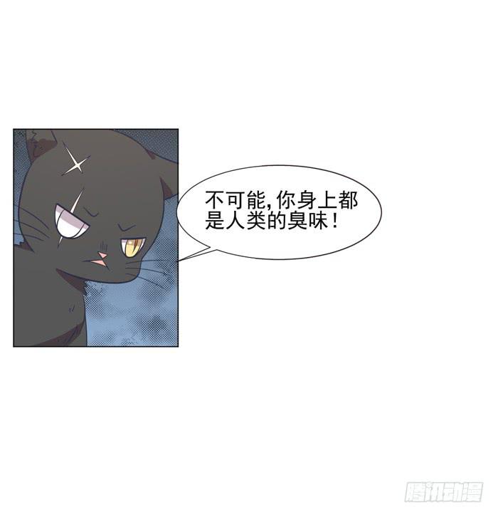 第042话43