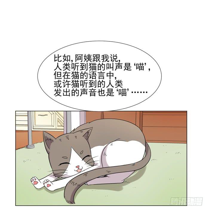 最终话26