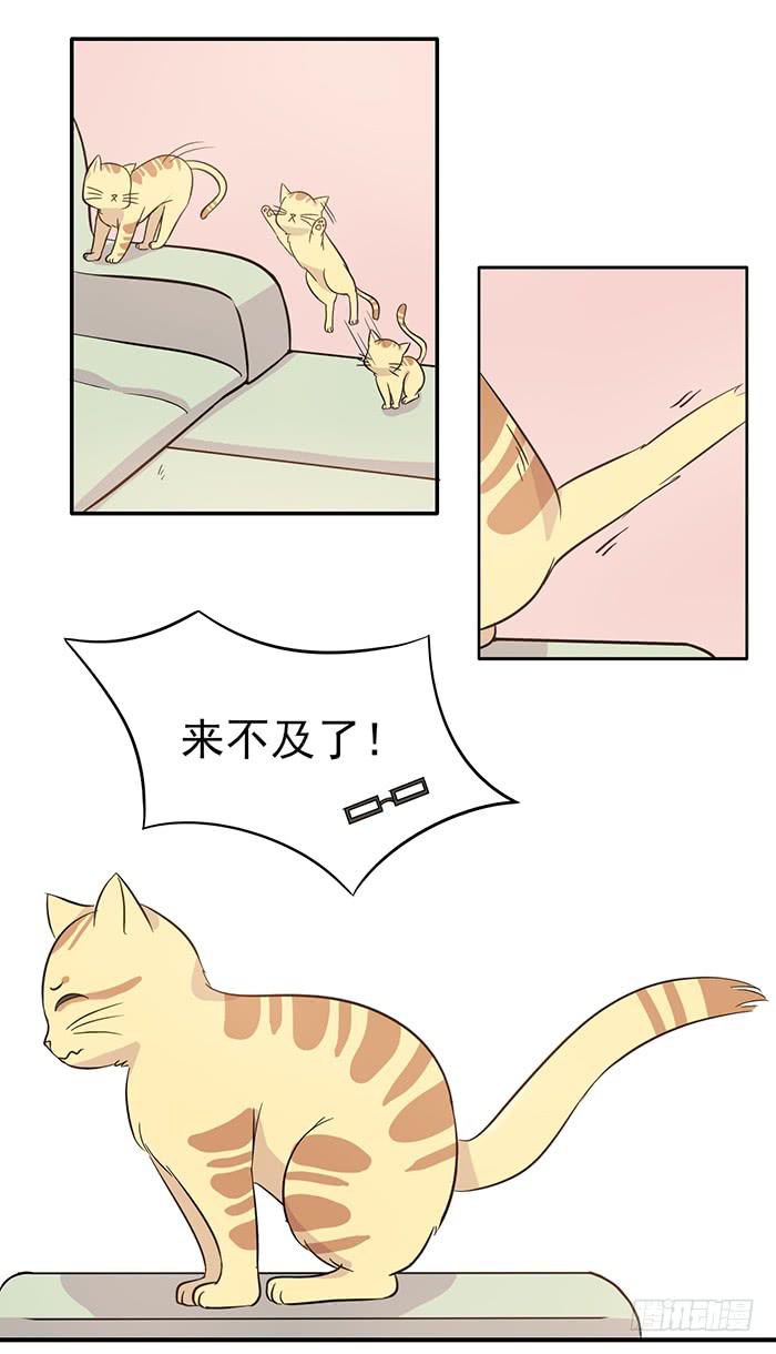 第015话19