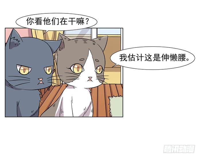 第031话9