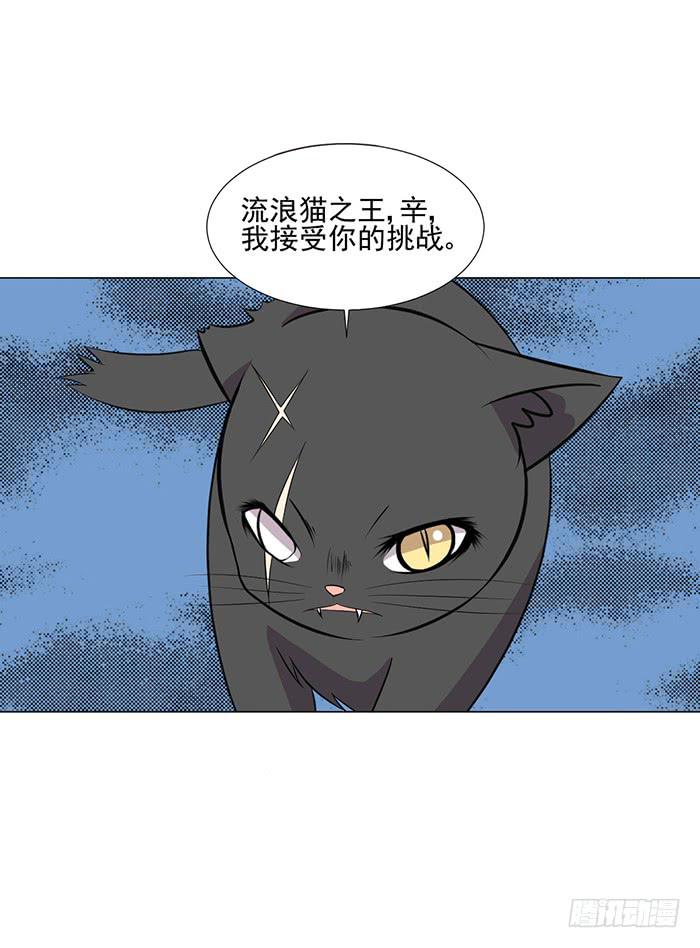 第042话37