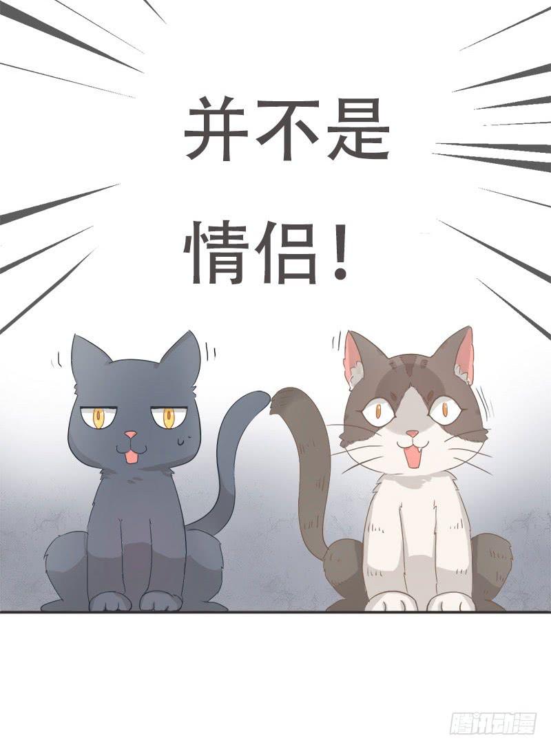 预告3